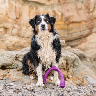 West Paw Seaflex Snorkl™ L Hibiscus