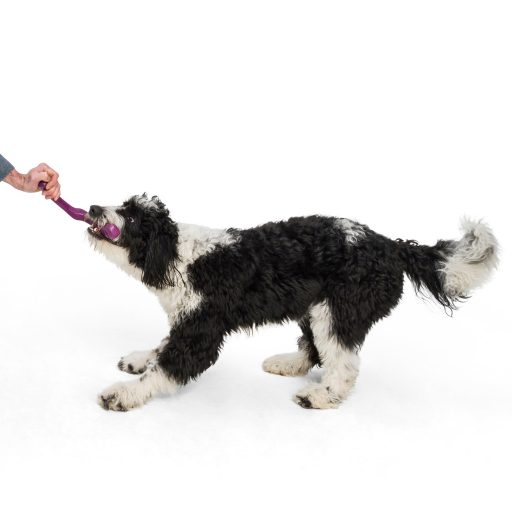 West Paw Seaflex Snorkl™ L Hibiscus