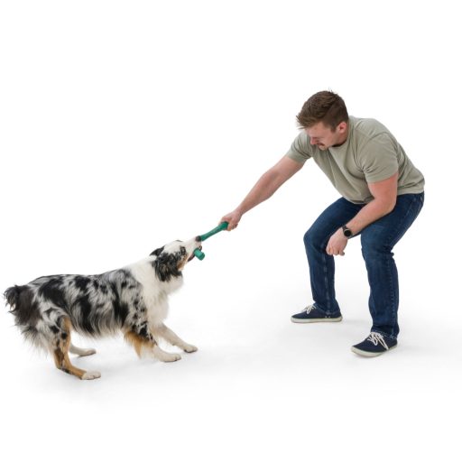 West Paw Seaflex Snorkl™ L Surf