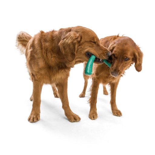 West Paw Seaflex Snorkl™ L Emerald