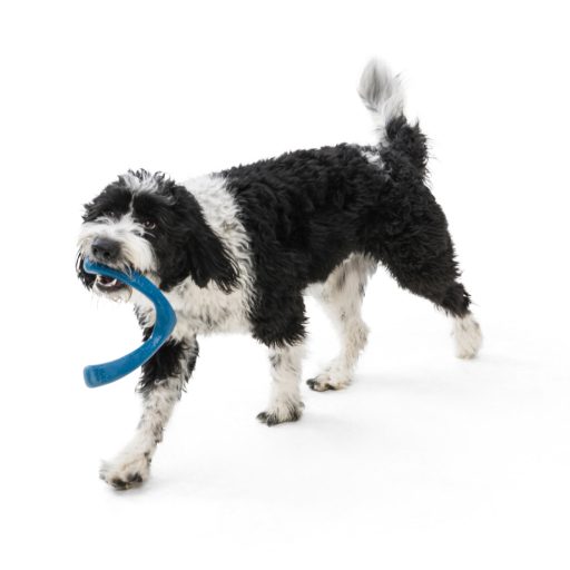 West Paw Seaflex Snorkl™ L Emerald