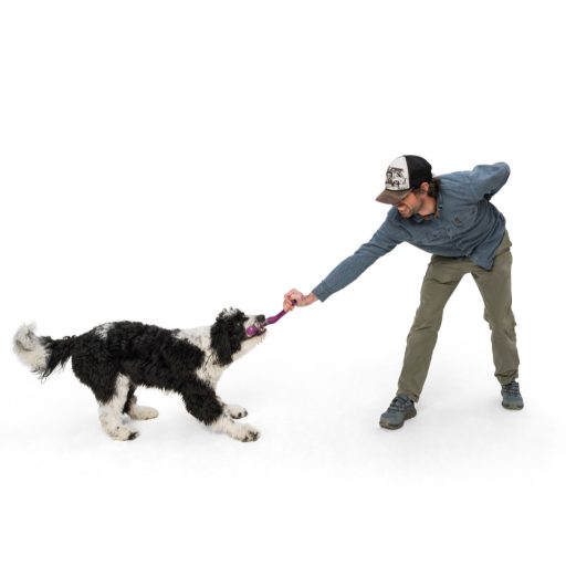 West Paw Seaflex Snorkl™ L Emerald